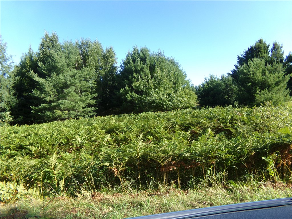 7581 S Marsik Lot 4 Road Lake Nebagamon WI 54849 1594620 image5
