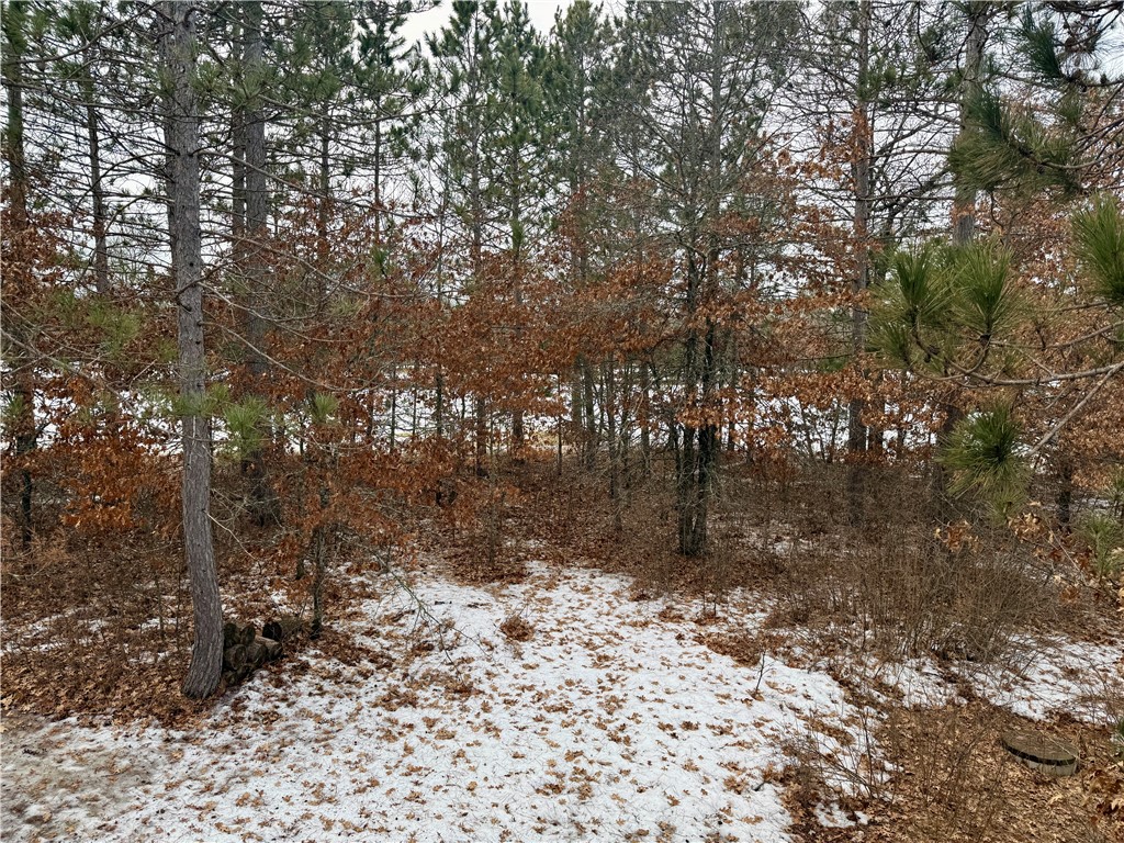 7597 Ostrom Rd Minong WI 54859 1598887 image16