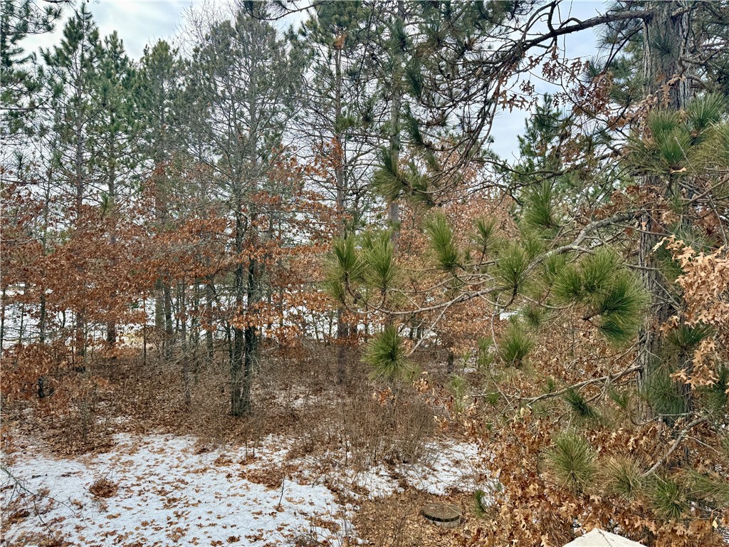 7597 Ostrom Rd Minong WI 54859 1598887 image28