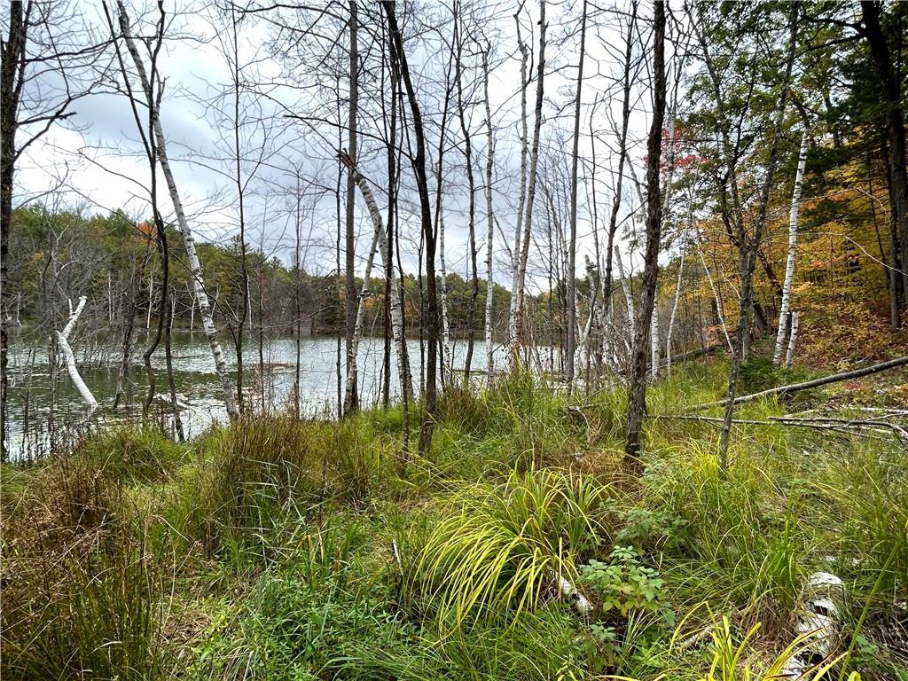 761 W Crystal Point Drive Birchwood WI 54817 1577266 image1