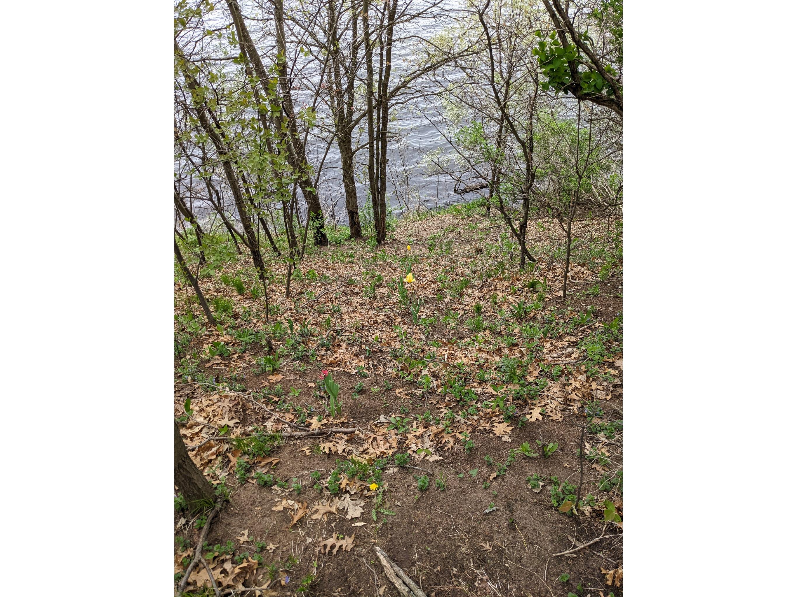 7646 196th Street Chippewa Falls WI 54729 - Wissota 1599333 image16