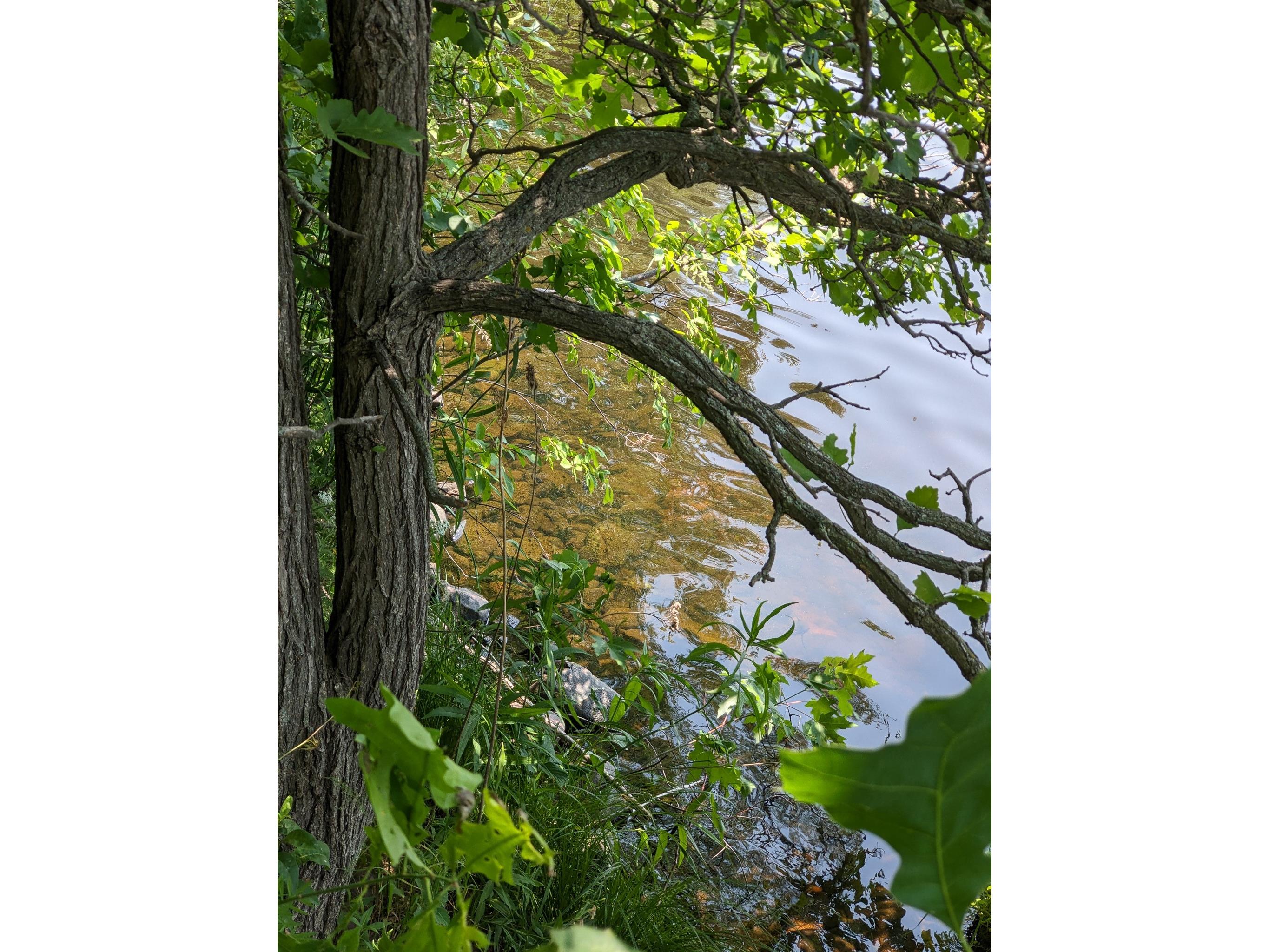 7646 196th Street Chippewa Falls WI 54729 - Wissota 1599333 image18