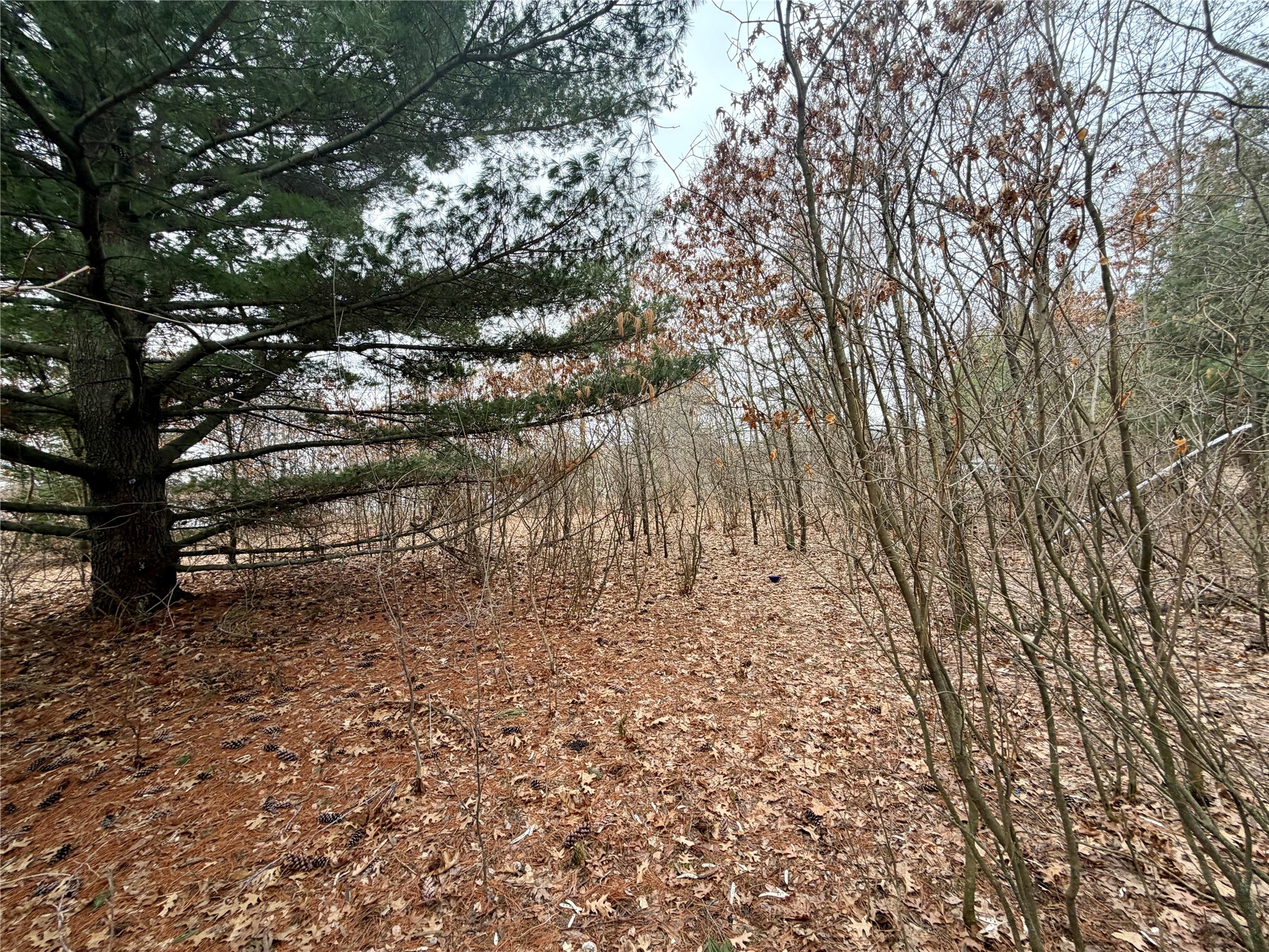 7646 196th Street Chippewa Falls WI 54729 - Wissota 1599333 image3