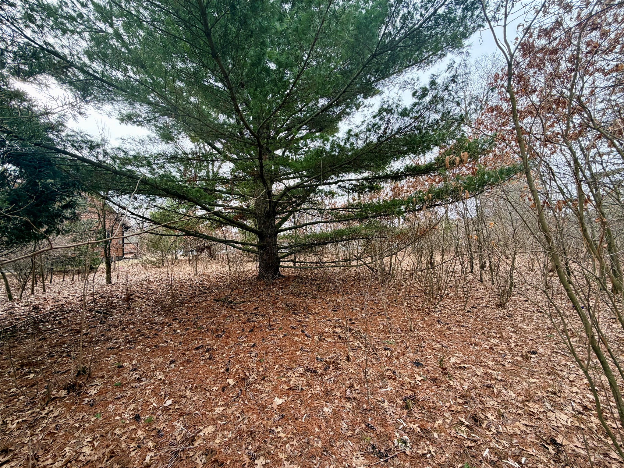 7646 196th Street Chippewa Falls WI 54729 - Wissota 1599333 image4