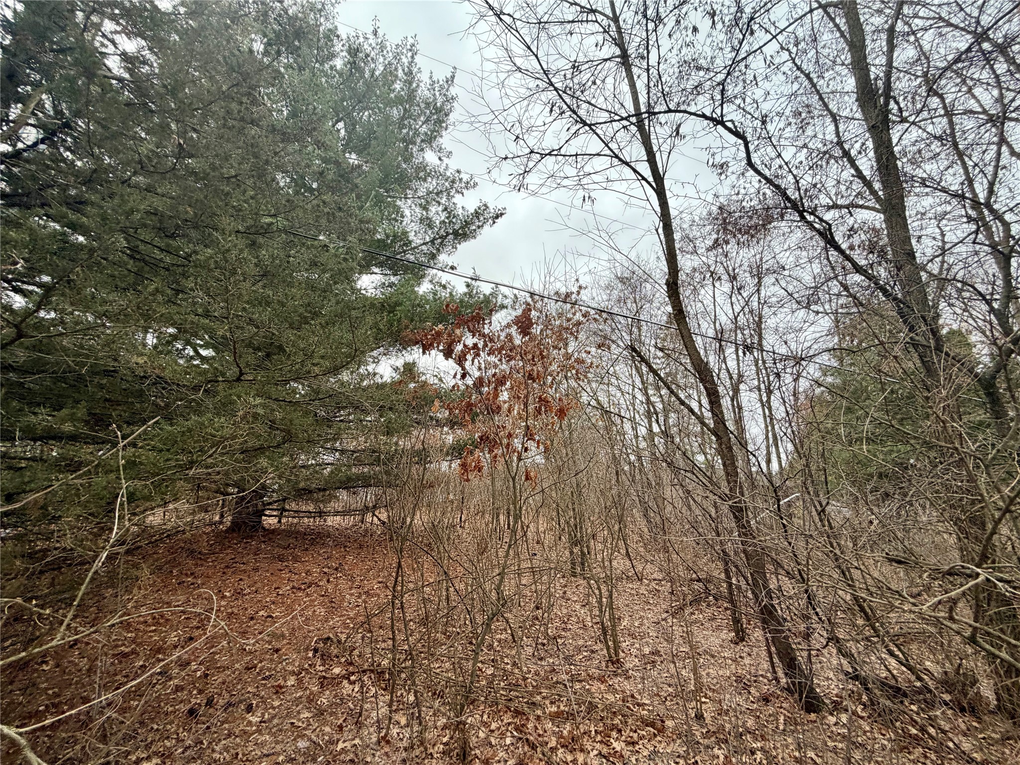 7646 196th Street Chippewa Falls WI 54729 - Wissota 1599333 image5