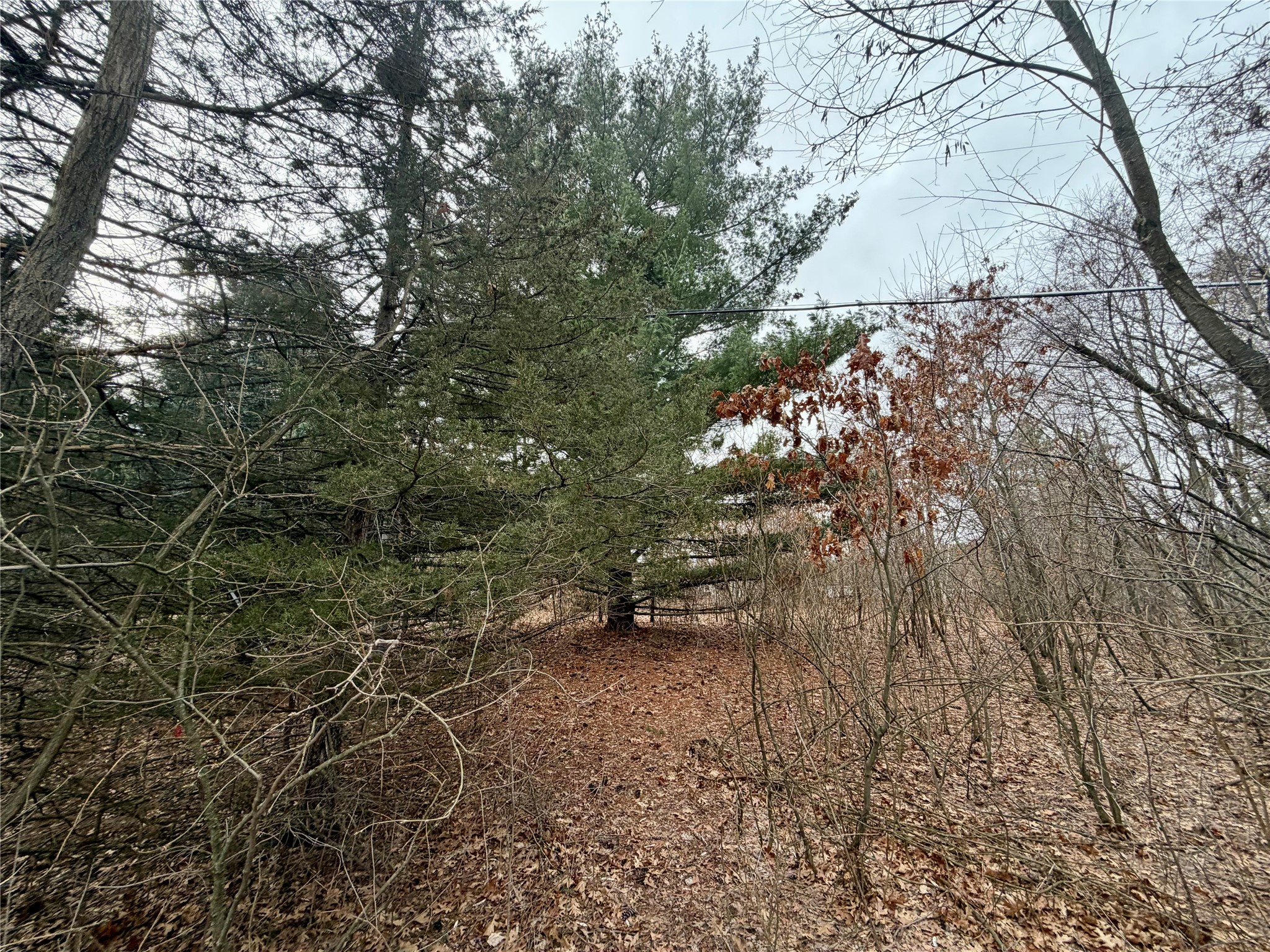 7646 196th Street Chippewa Falls WI 54729 - Wissota 1599333 image6