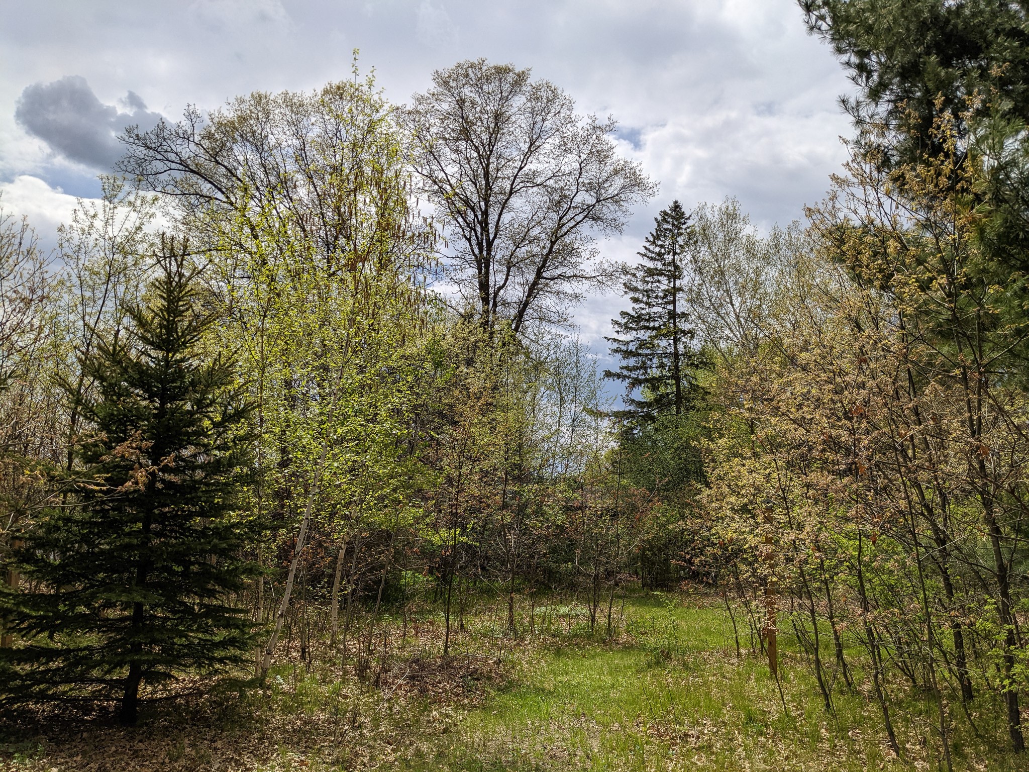 7646 196th Street Chippewa Falls WI 54729 - Wissota 1599333 image8