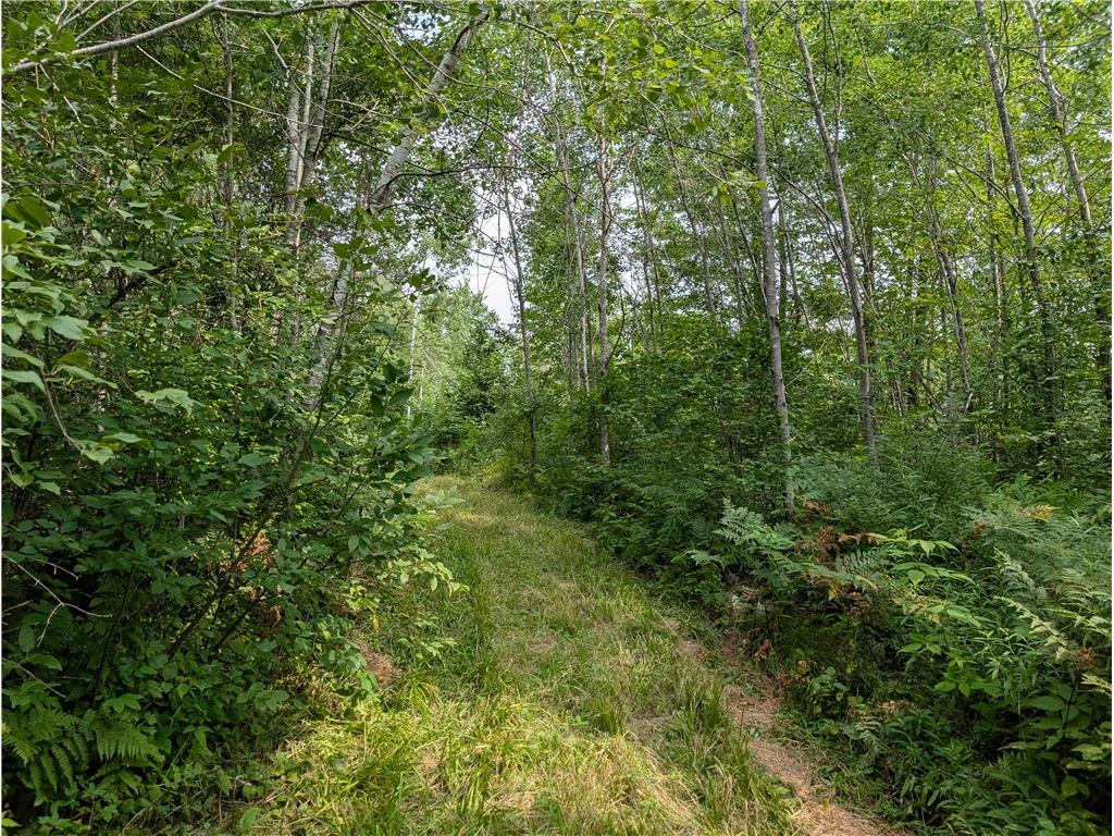 7649 W Hogsback Road Exeland WI 54835 1594325 image13