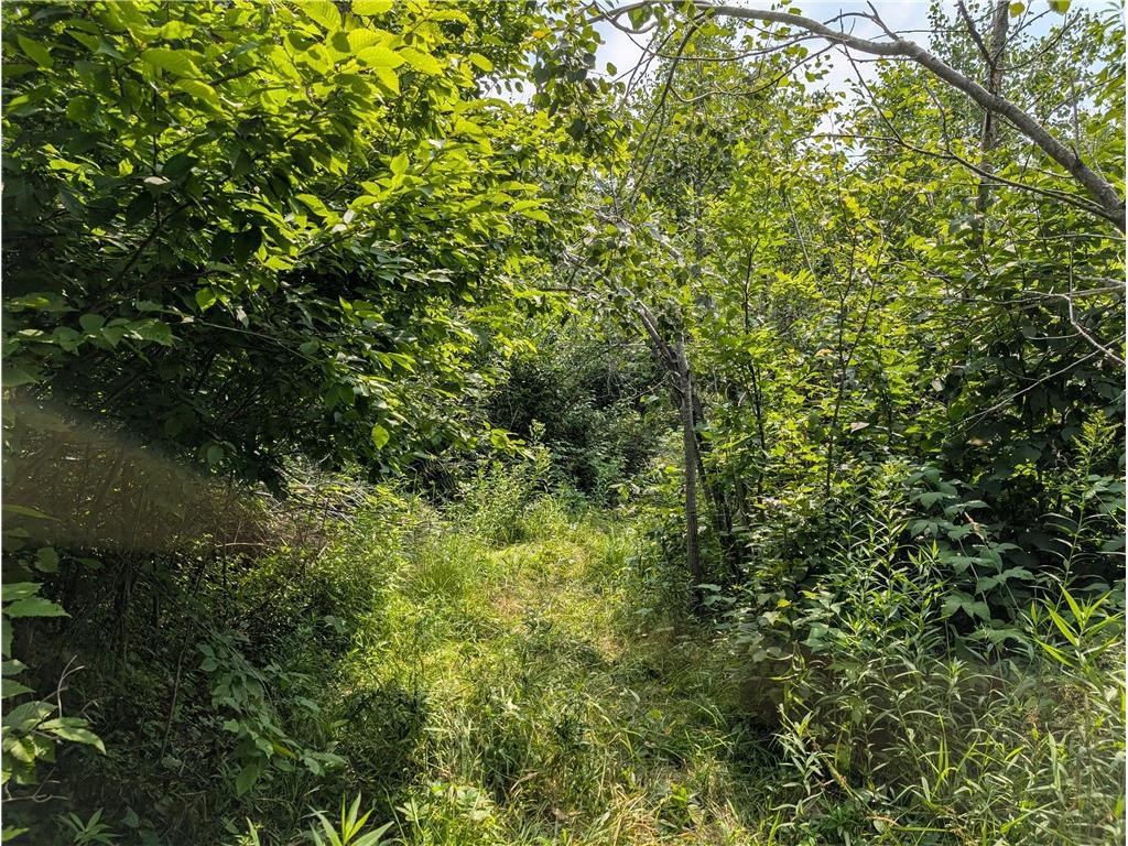 7649 W Hogsback Road Exeland WI 54835 1594325 image14