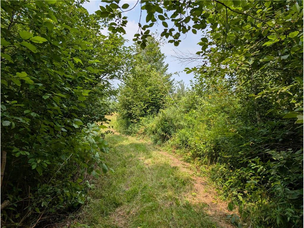 7649 W Hogsback Road Exeland WI 54835 1594325 image15