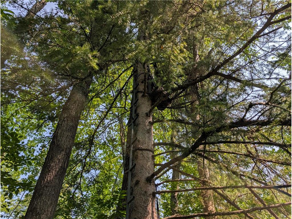 7649 W Hogsback Road Exeland WI 54835 1594325 image24