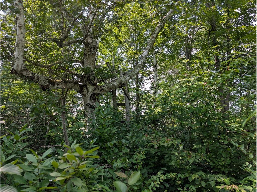 7649 W Hogsback Road Exeland WI 54835 1594325 image25