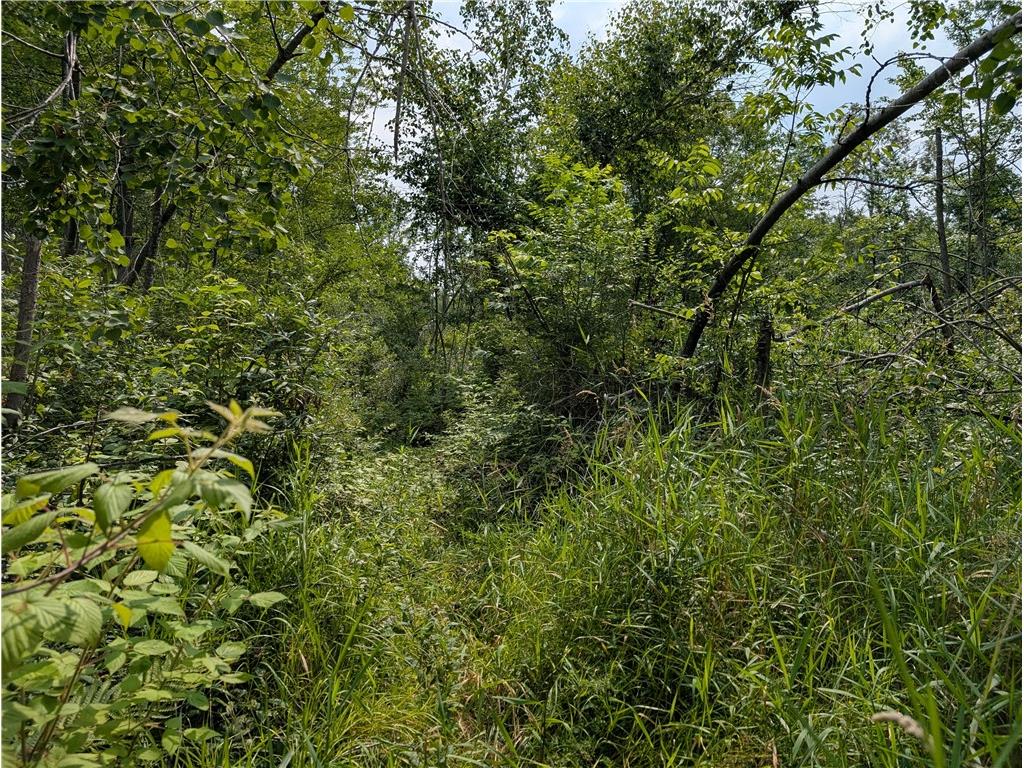 7649 W Hogsback Road Exeland WI 54835 1594325 image26