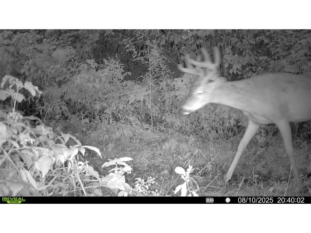 7649 W Hogsback Road Exeland WI 54835 1594325 image28