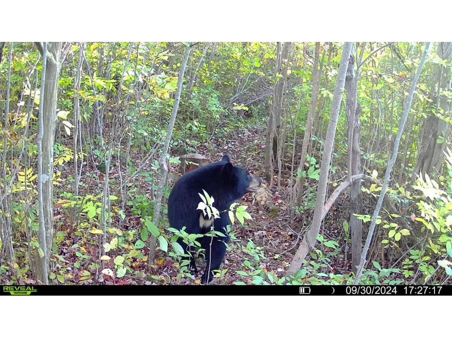 7649 W Hogsback Road Exeland WI 54835 1594325 image29