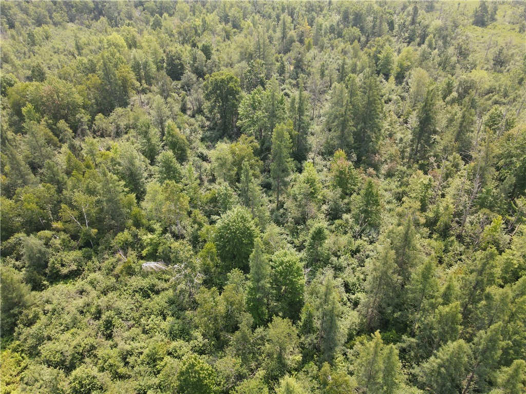 7649 W Hogsback Road Exeland WI 54835 1594325 image4