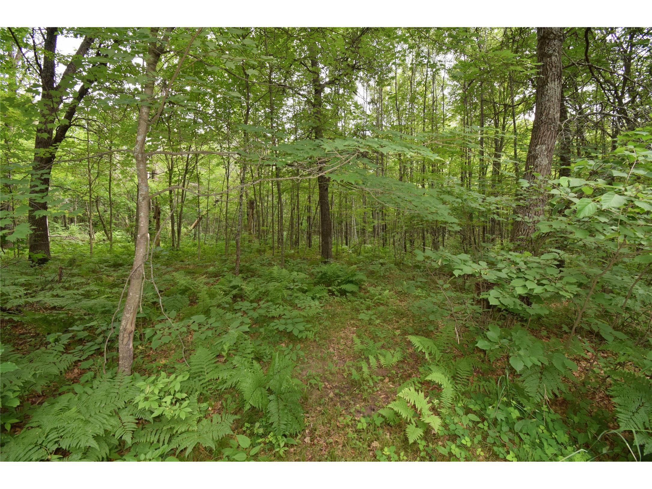 7689 Wood Lane Webster WI 54893 1602964 image42
