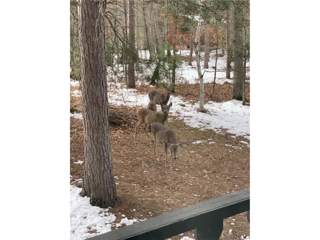 7709 Main Street Siren WI 54872 1596947 image41