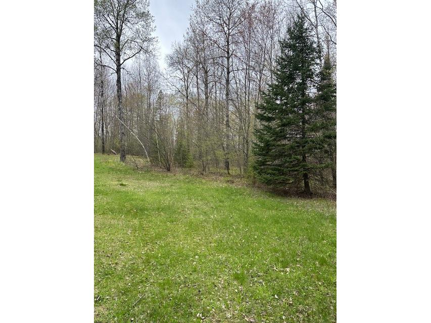 7835N Cricket Lane Winter WI 54896 1581934 image1