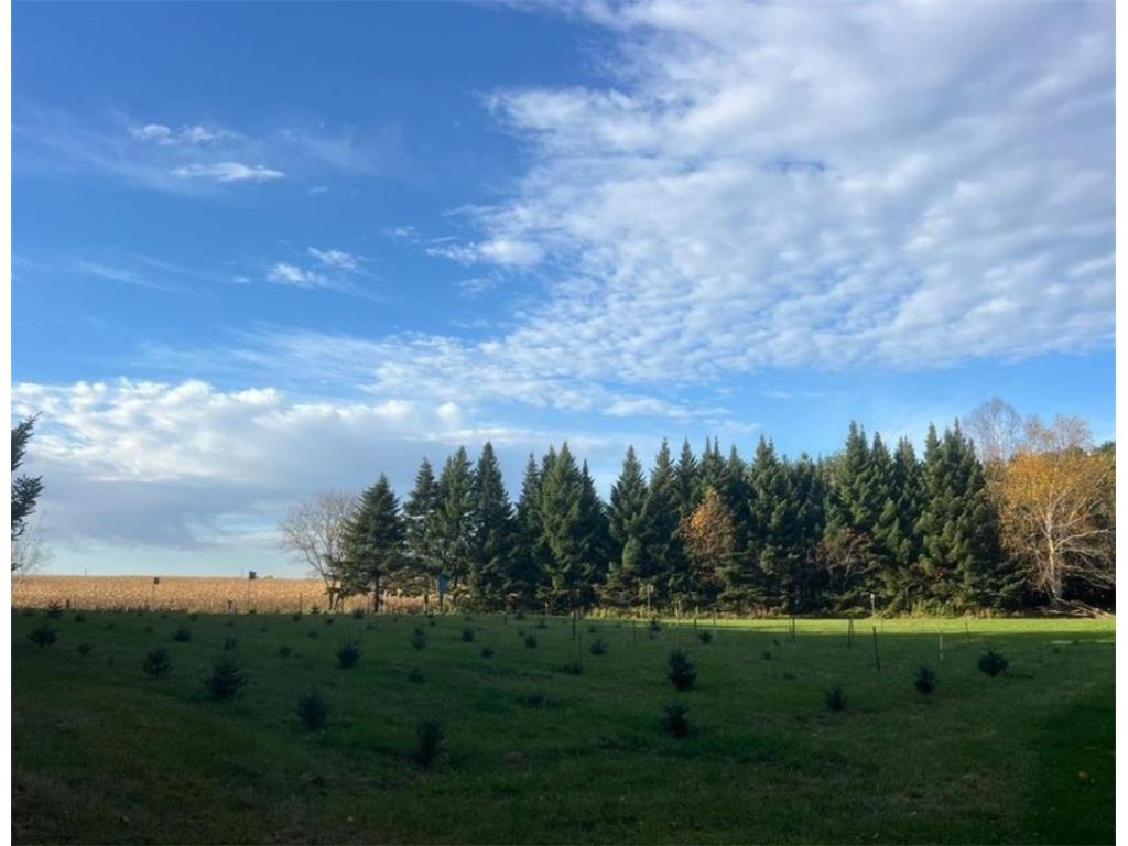 789 29 1/2 Avenue Barronett WI 54813 1589624 image13