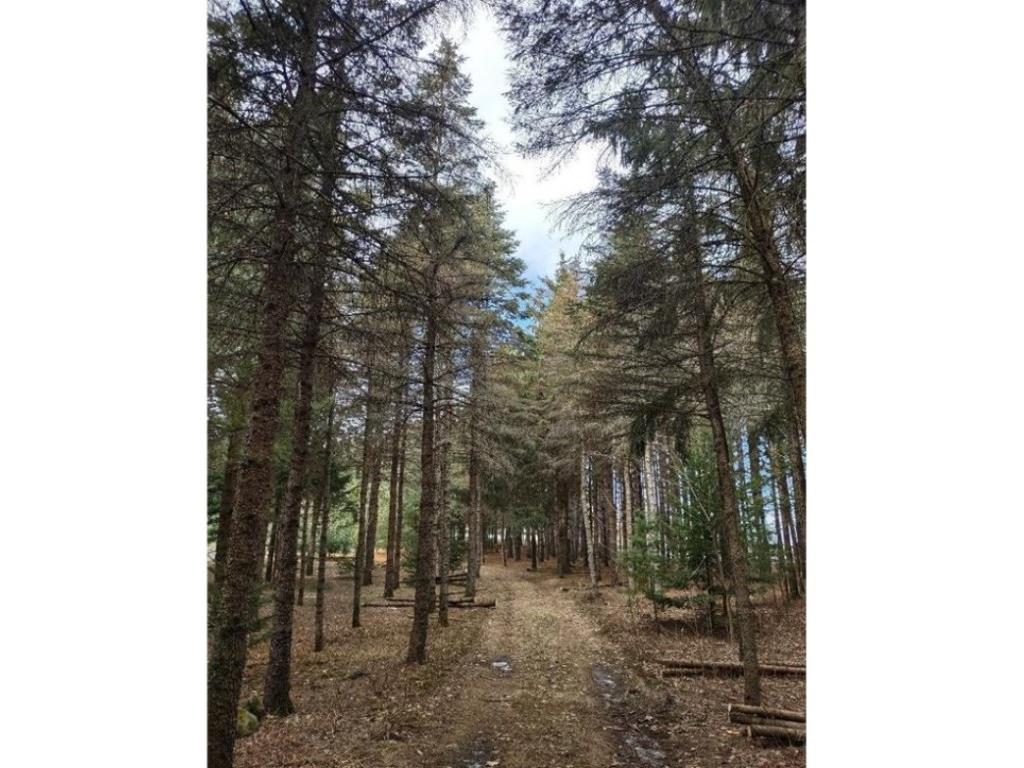 789 29 1/2 Avenue Barronett WI 54813 1589624 image8