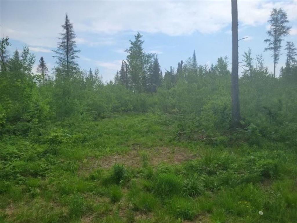79+ Acres Near Mertig Road Glidden WI 54527 1583514 image1