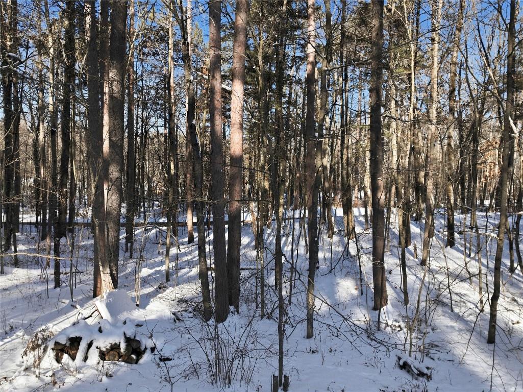 7953 N Wonder Avenue Hayward WI 54843 1599257 image21