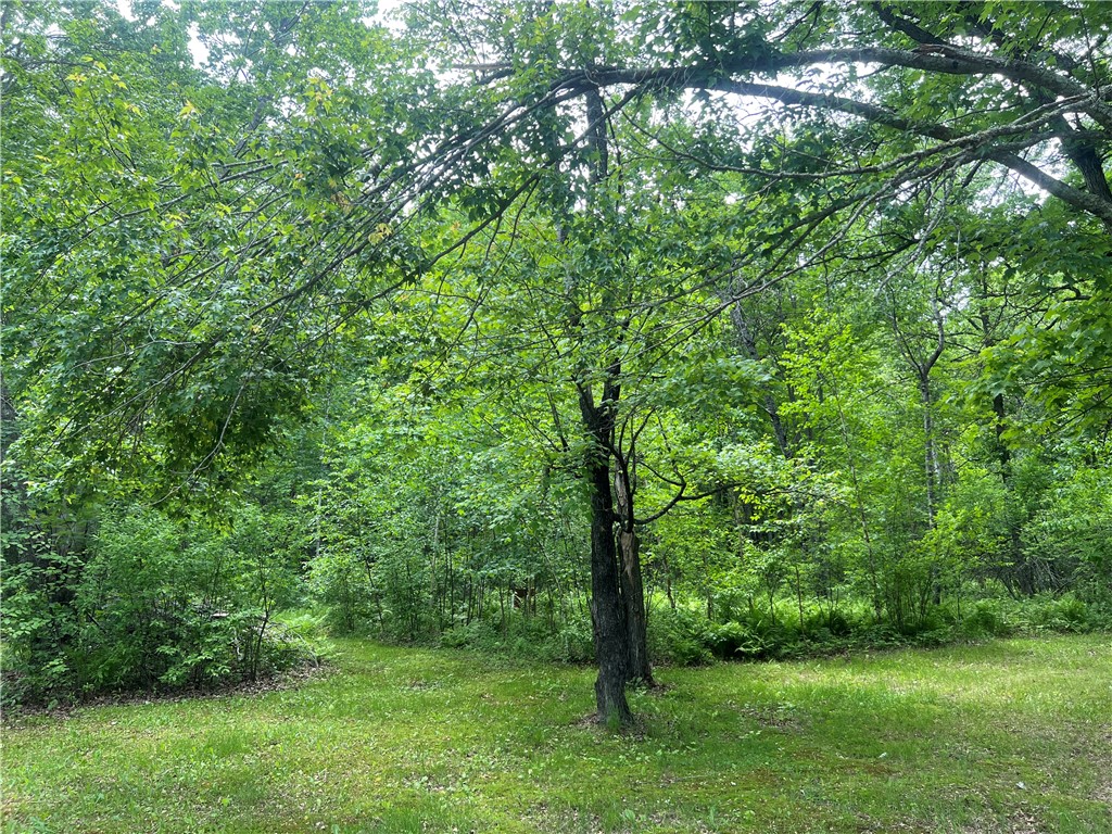 7968 County Road F Danbury WI 54830 1592395 image3