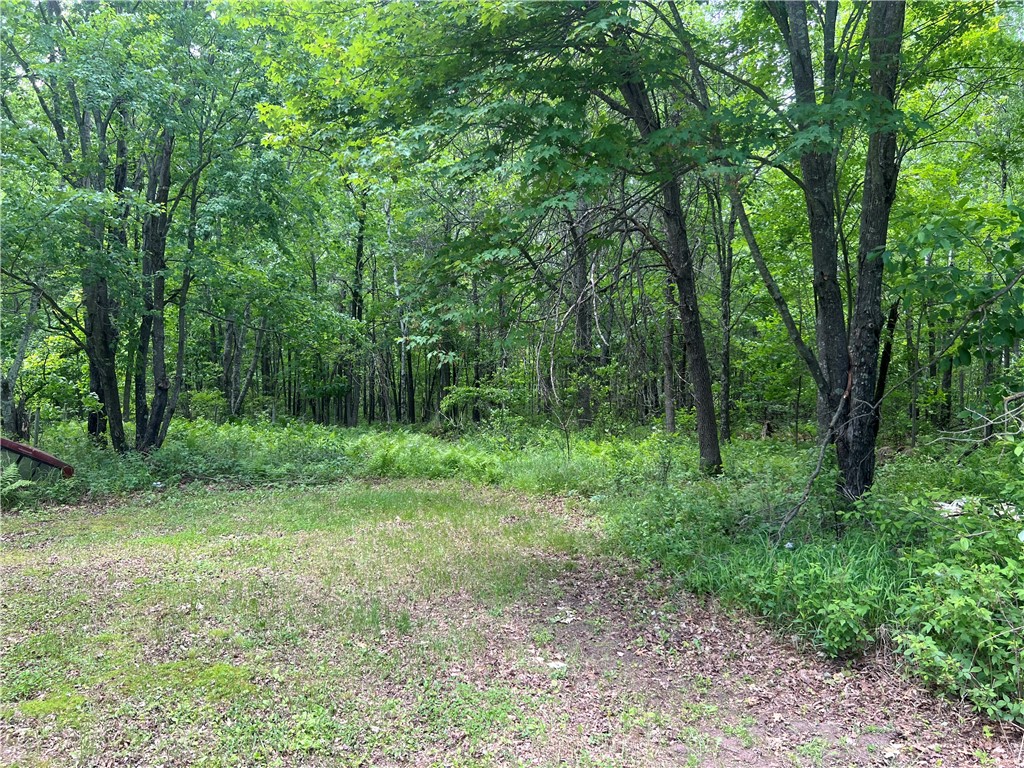 7968 County Road F Danbury WI 54830 1592395 image4