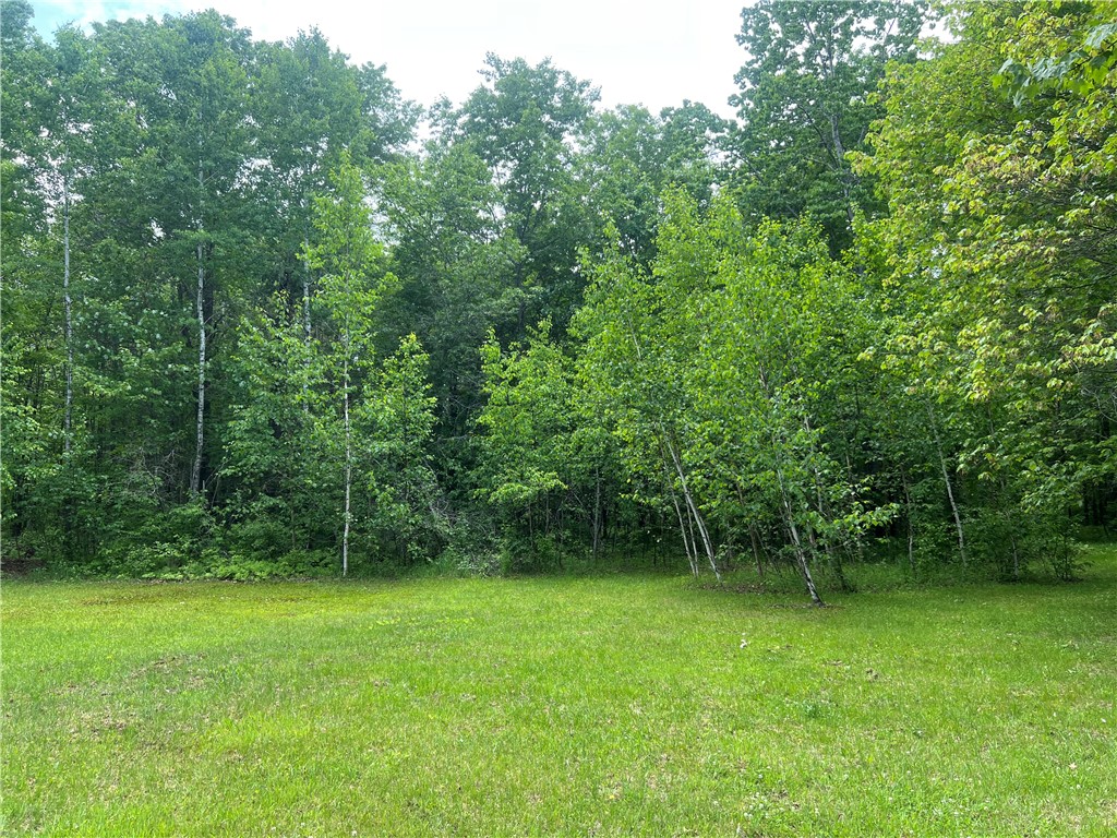 7968 County Road F Danbury WI 54830 1592397 image17