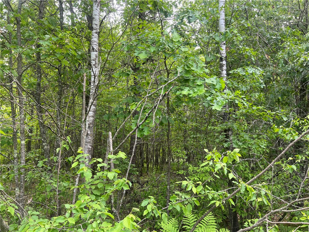 7968 County Road F Danbury WI 54830 1592397 image18