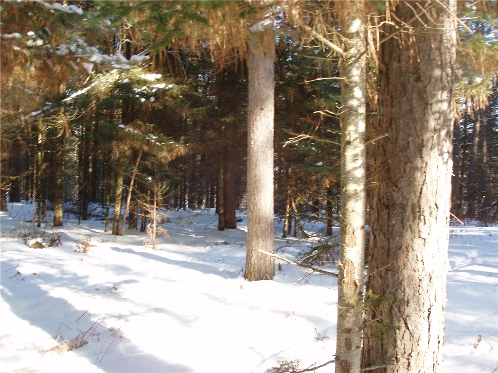 79879 Hinz Road Glidden WI 54527 1590699 image21