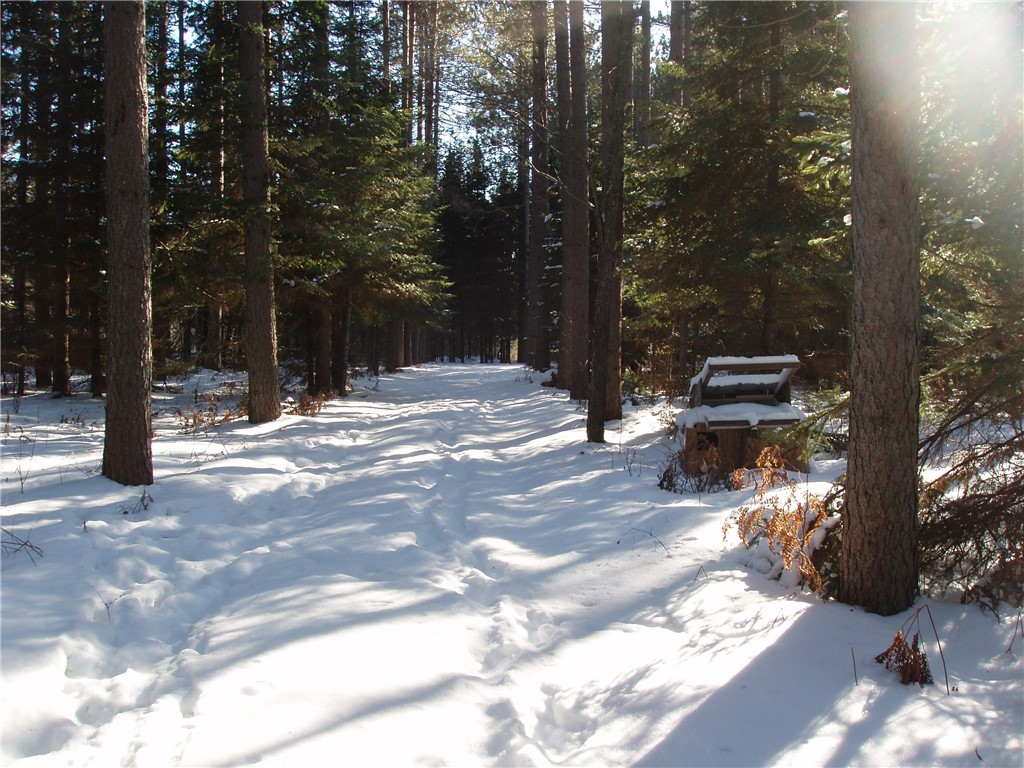 79879 Hinz Road Glidden WI 54527 1590699 image22