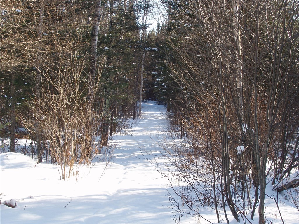 79879 Hinz Road Glidden WI 54527 1590699 image25