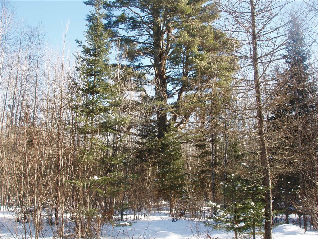 79879 Hinz Road Glidden WI 54527 1590699 image26