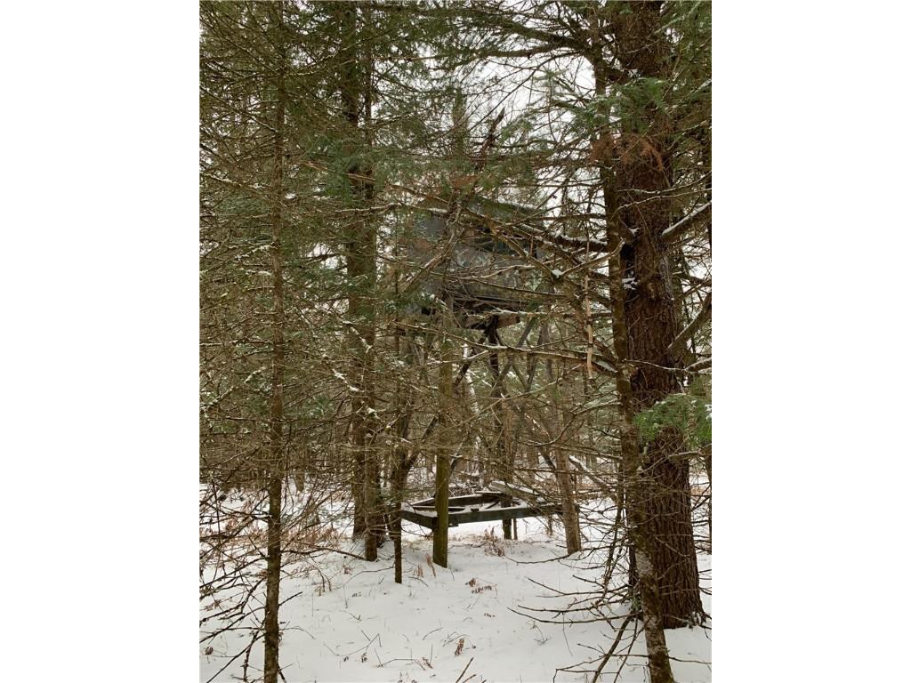 79879 Hinz Road Glidden WI 54527 1590699 image29