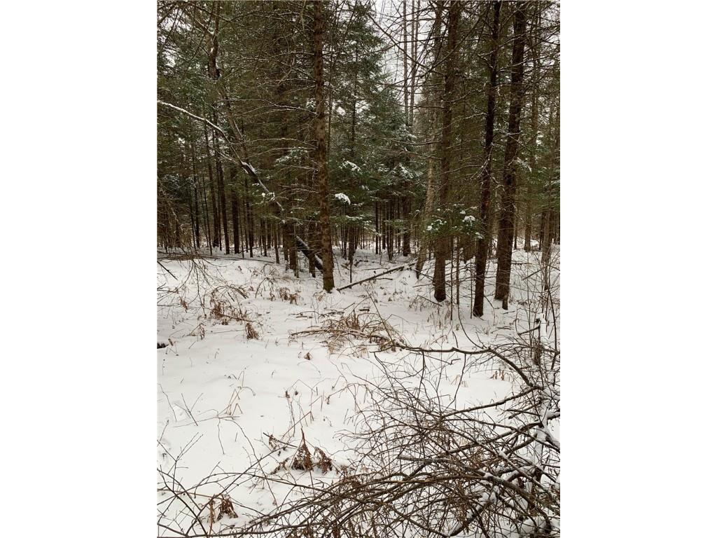 79879 Hinz Road Glidden WI 54527 1590699 image31