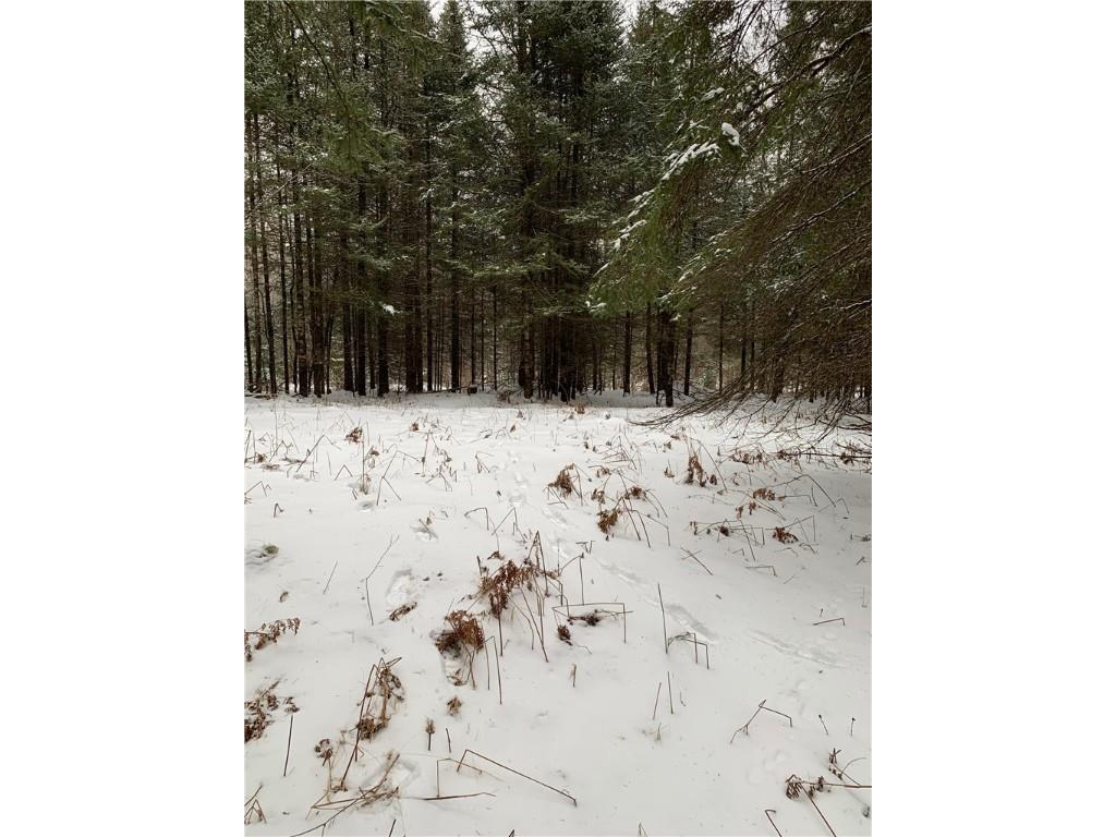 79879 Hinz Road Glidden WI 54527 1590699 image32