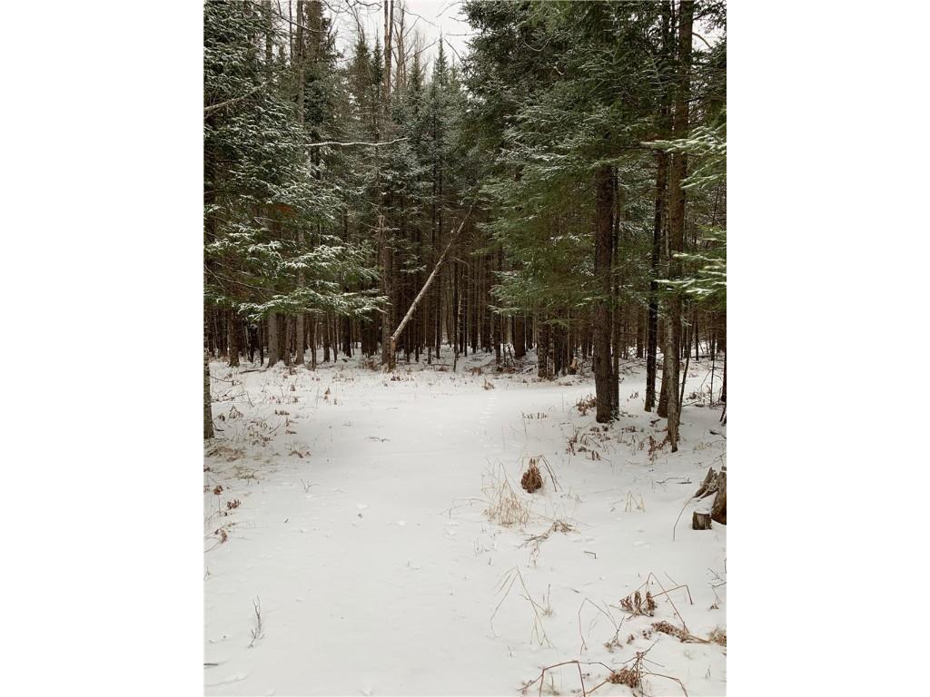 79879 Hinz Road Glidden WI 54527 1590699 image34