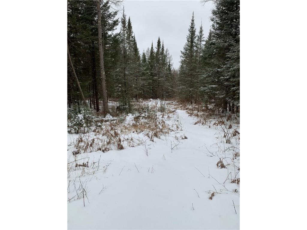 79879 Hinz Road Glidden WI 54527 1590699 image35