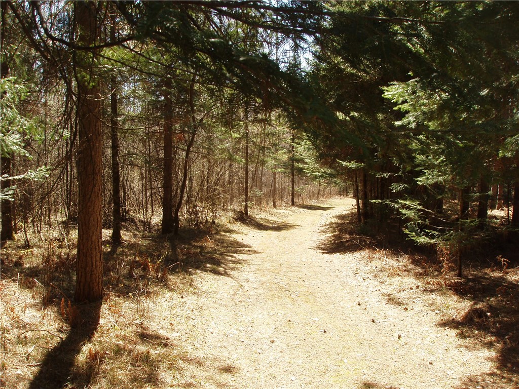 79879 Hinz Road Glidden WI 54527 1590699 image5