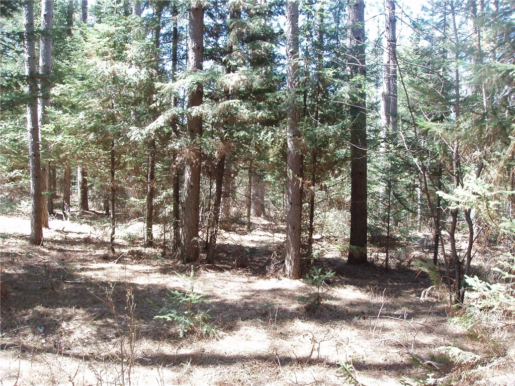 79879 Hinz Road Glidden WI 54527 1590699 image6