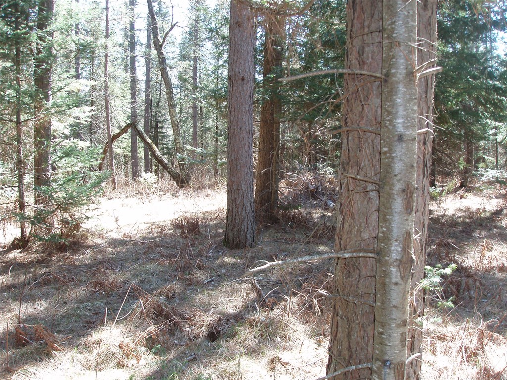 79879 Hinz Road Glidden WI 54527 1590699 image8