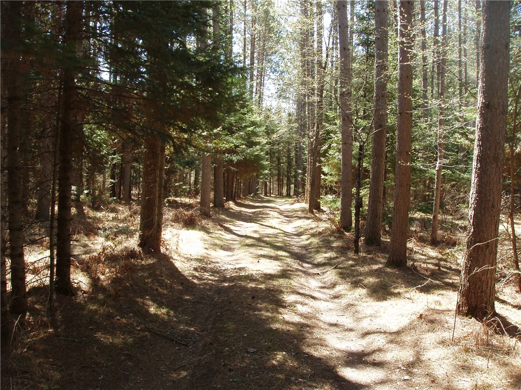 79879 Hinz Road Glidden WI 54527 1590699 image9