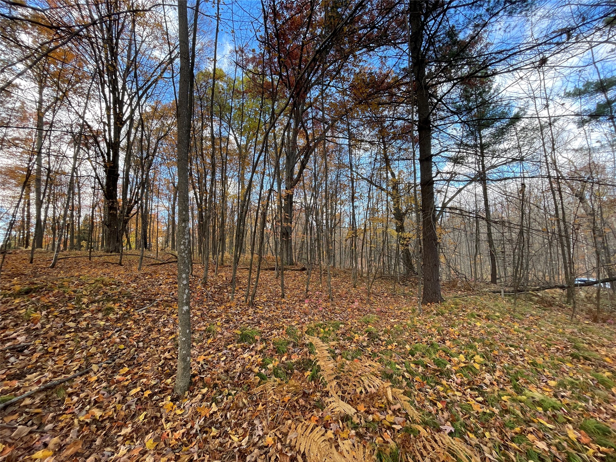 8 W Tanager Trail Hayward WI 54843 - Windigo 1600616 image10
