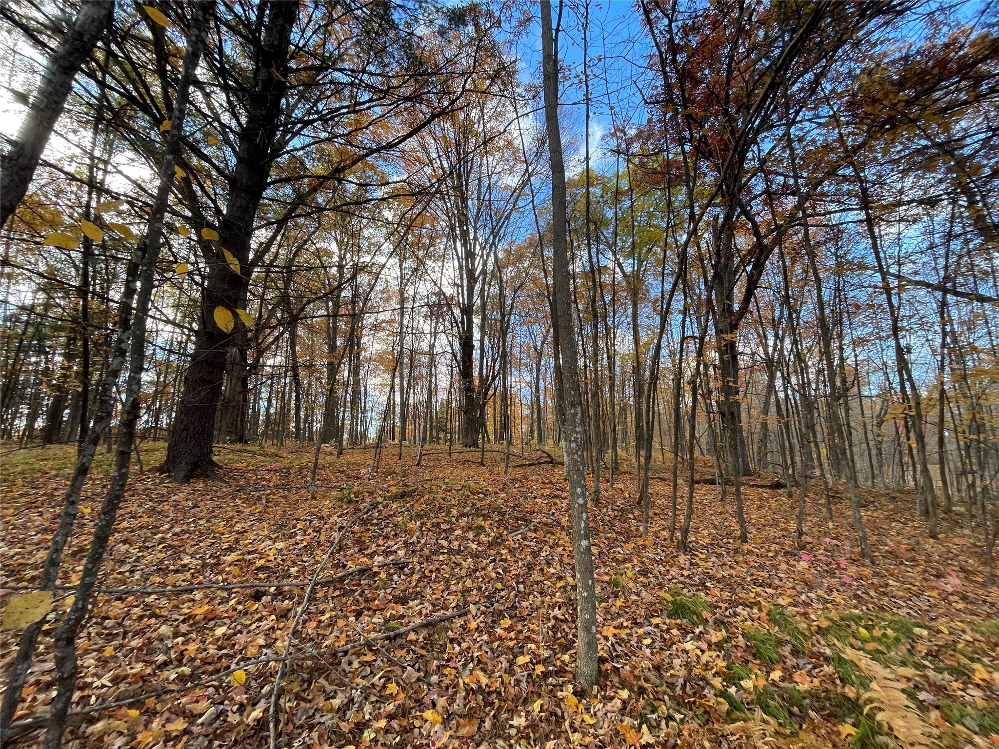 8 W Tanager Trail Hayward WI 54843 - Windigo 1600616 image11