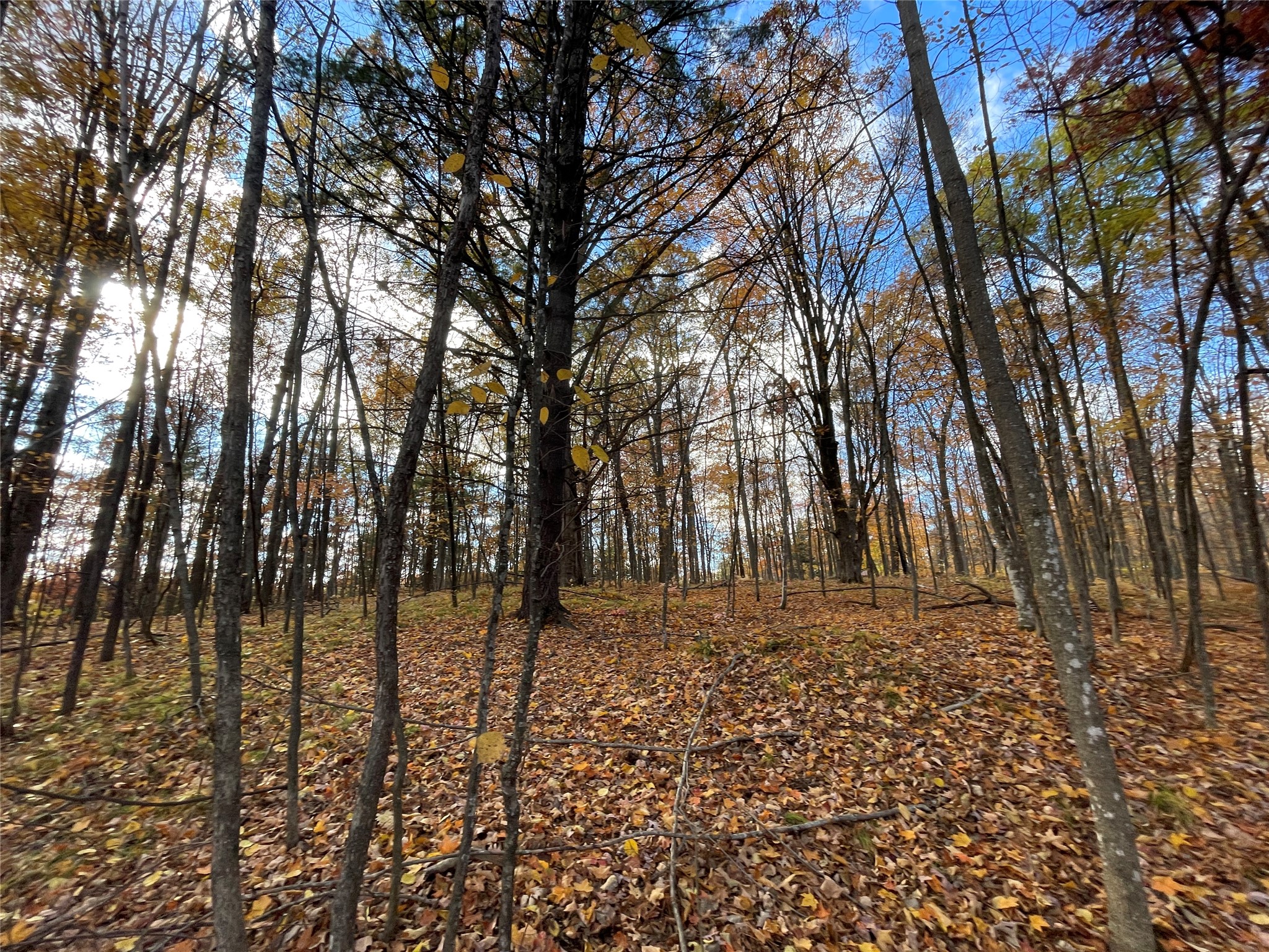 8 W Tanager Trail Hayward WI 54843 - Windigo 1600616 image12
