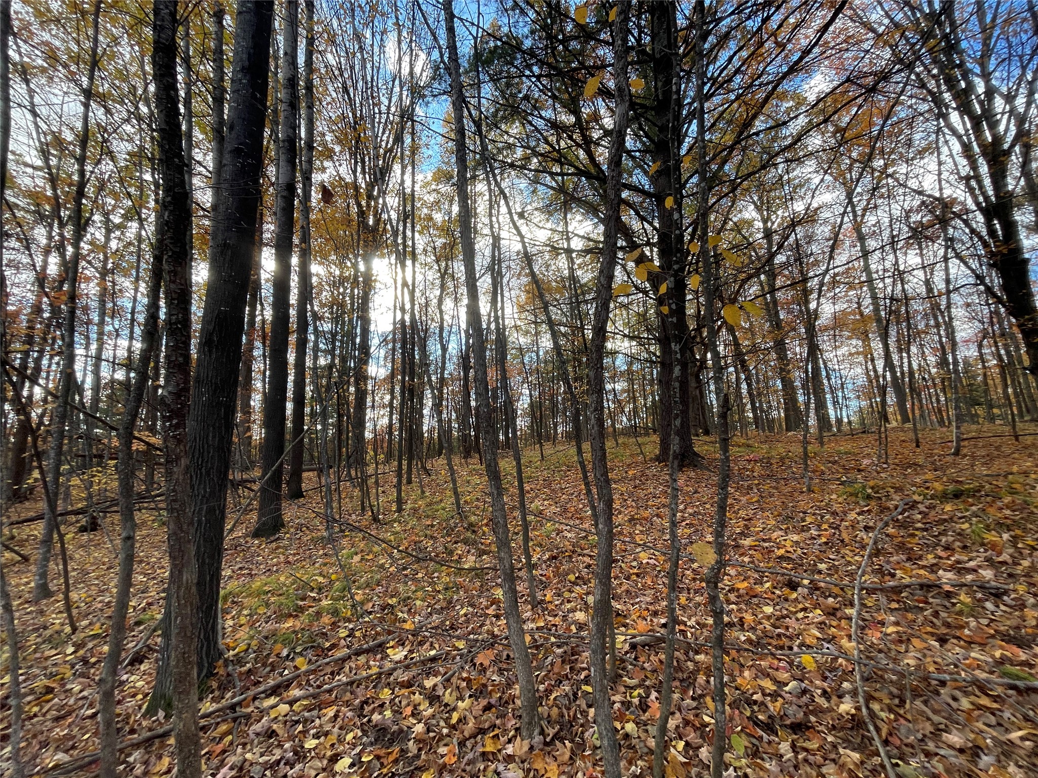 8 W Tanager Trail Hayward WI 54843 - Windigo 1600616 image13