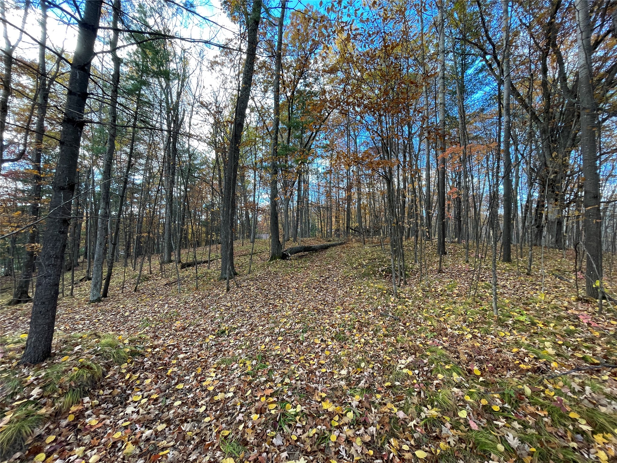 8 W Tanager Trail Hayward WI 54843 - Windigo 1600616 image14