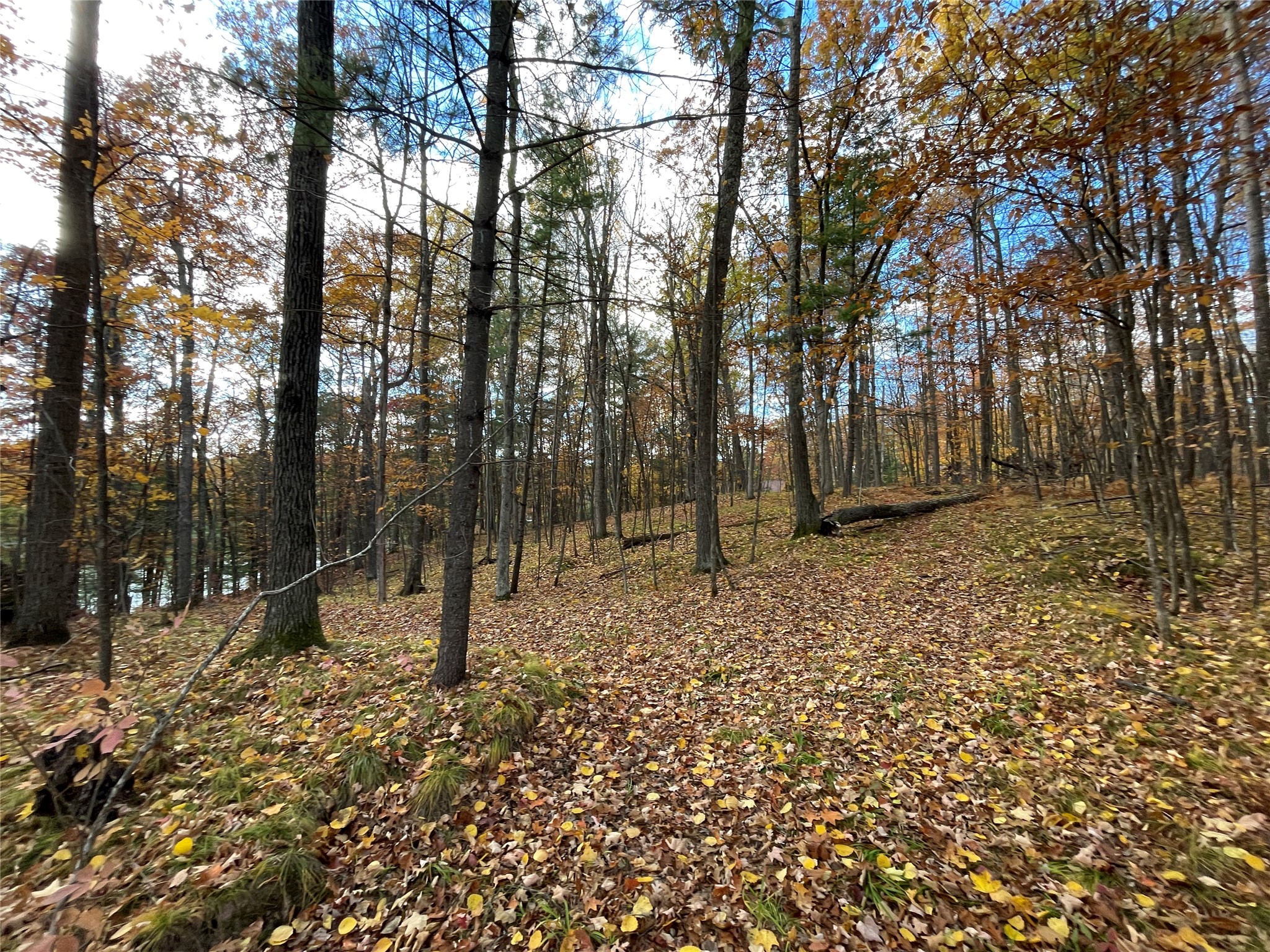8 W Tanager Trail Hayward WI 54843 - Windigo 1600616 image15